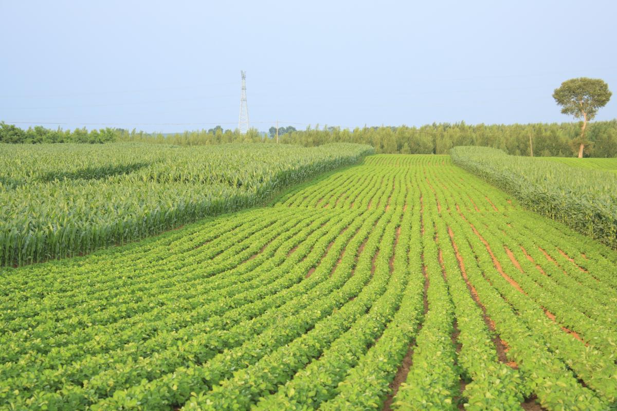 72+/ ACRES IN SPENCER COUNTY, IN Kurtz Auction & Realty Co.